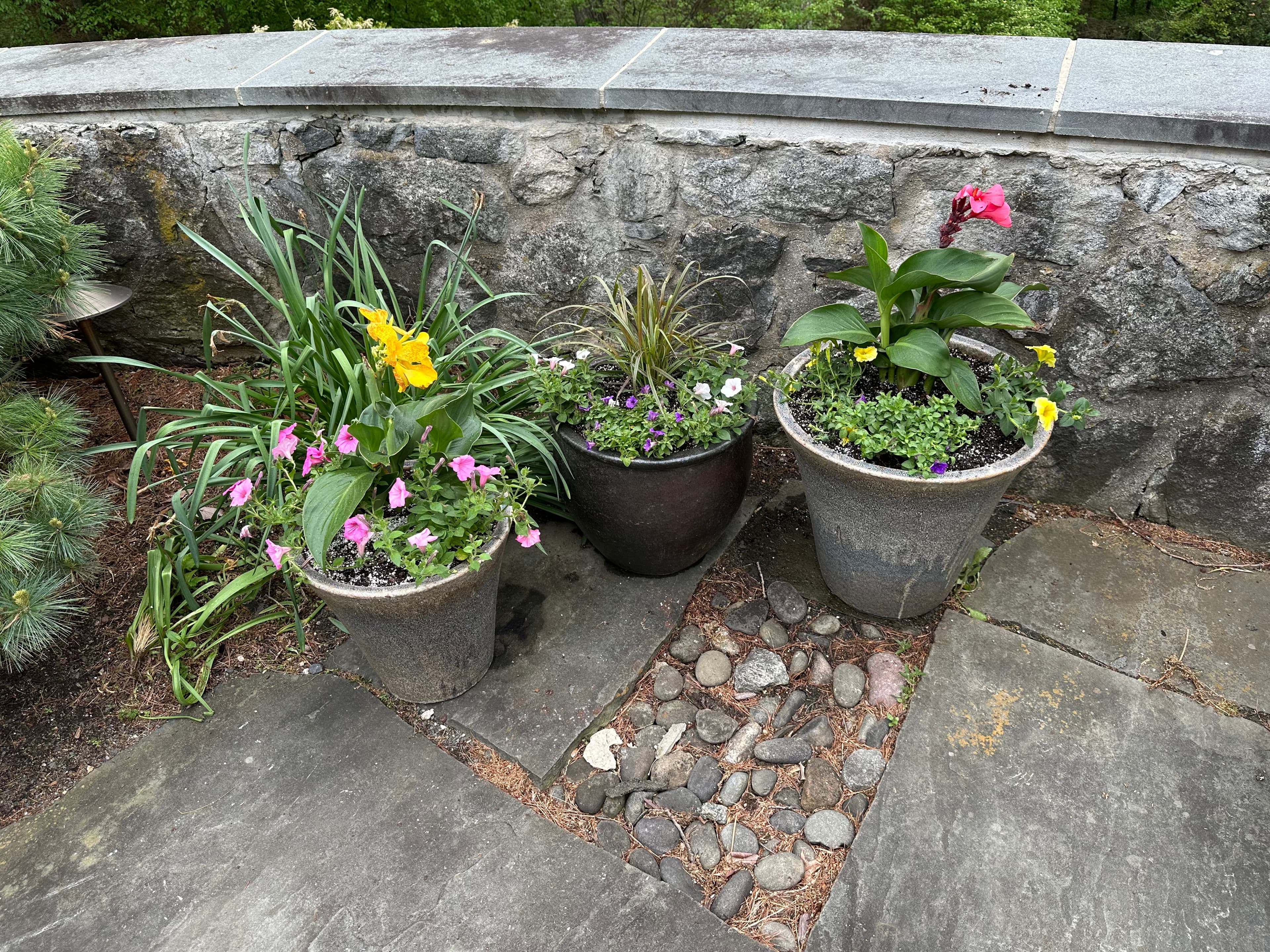 Gallery image 12