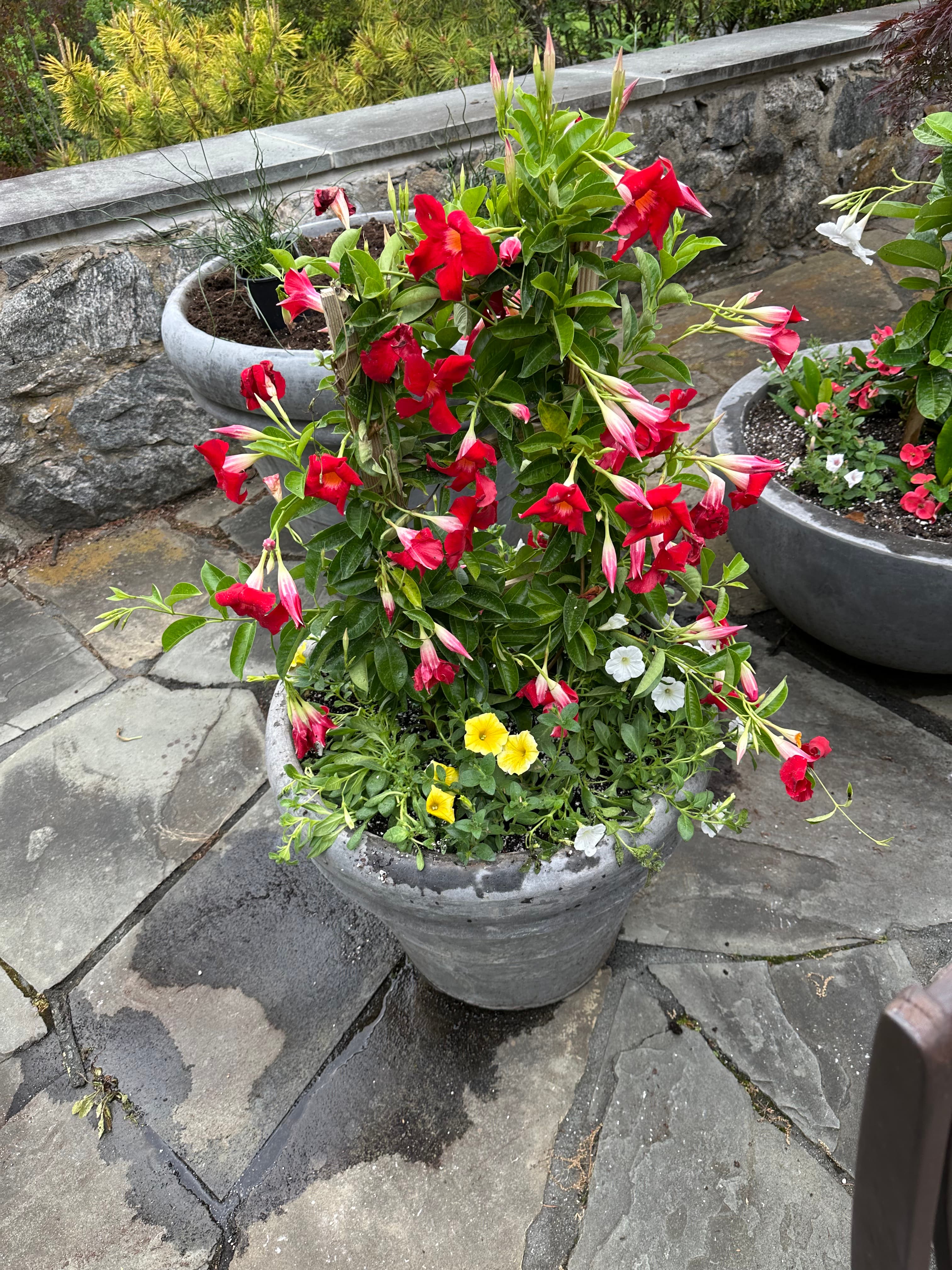 Gallery image 13