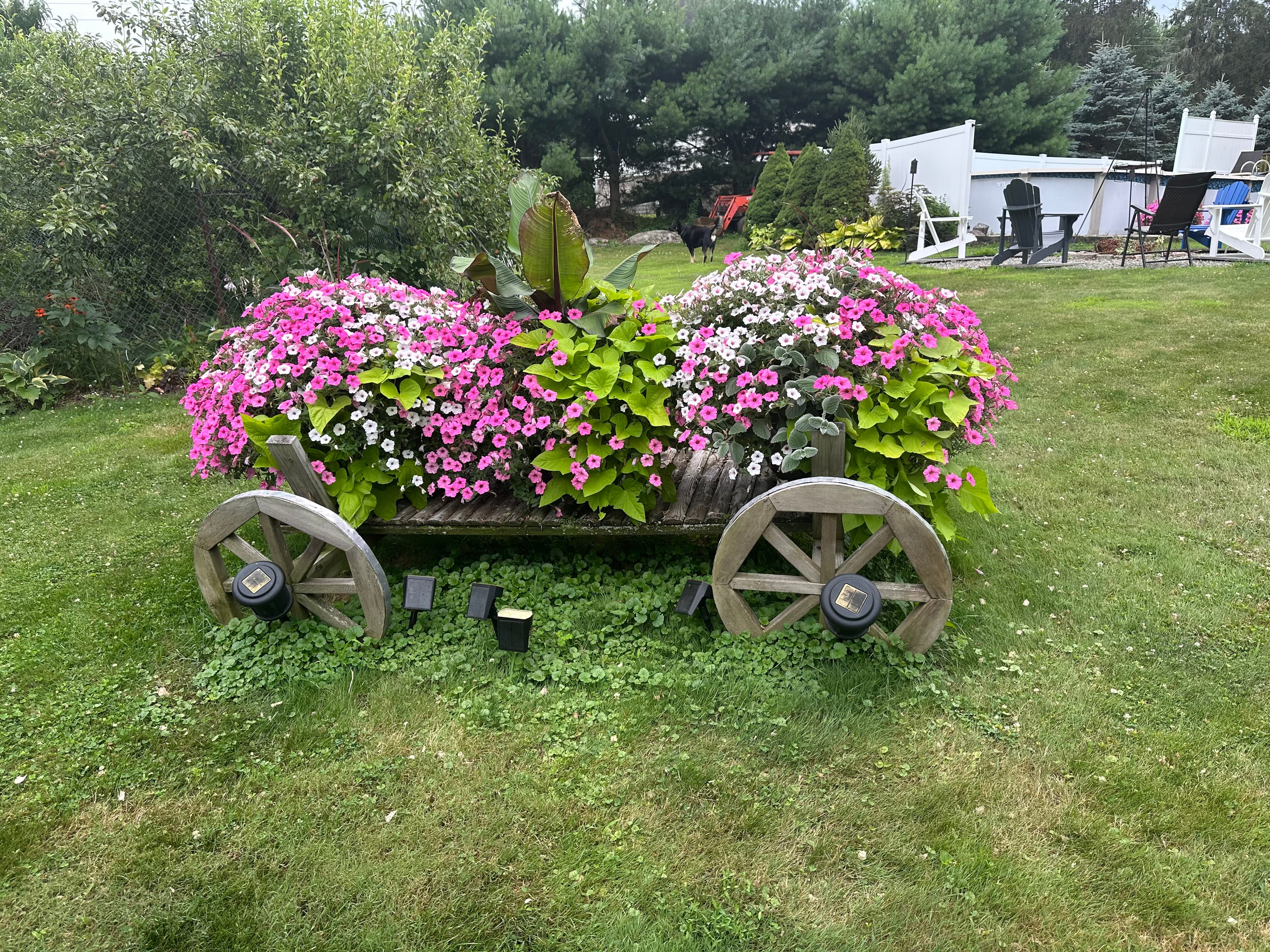 Gallery image 15