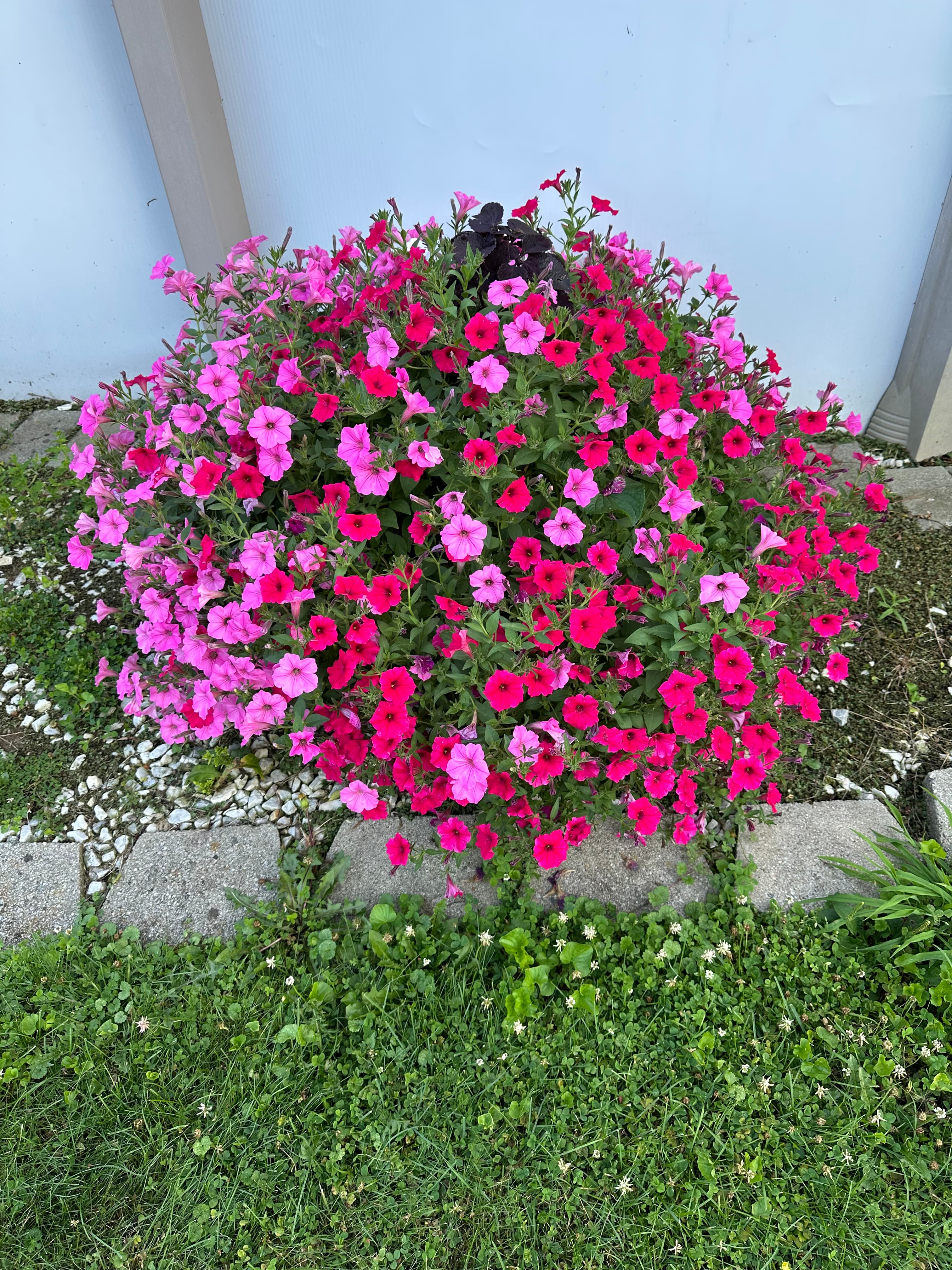 Gallery image 17